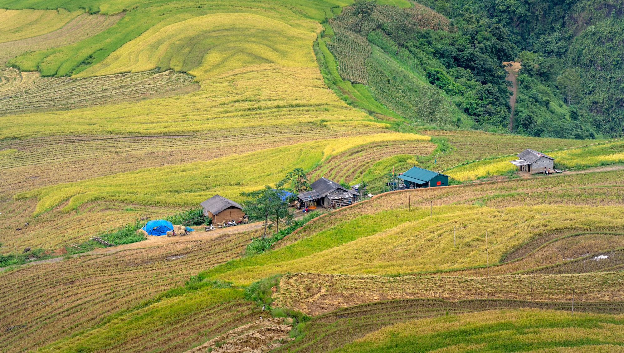 Terraced smallholder fields stepping down a mountainside, with farm houses and cultivated plots across the valley