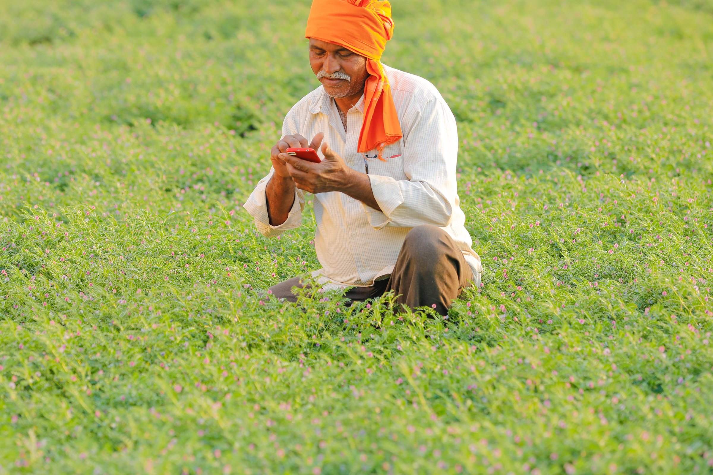 A farmer in a wide-brimmed hat and a field worker standing together at the edge of a ripening cereal field, one pointing across the crop